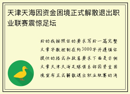 天津天海因资金困境正式解散退出职业联赛震惊足坛