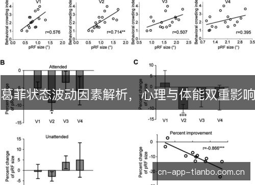 葛菲状态波动因素解析，心理与体能双重影响
